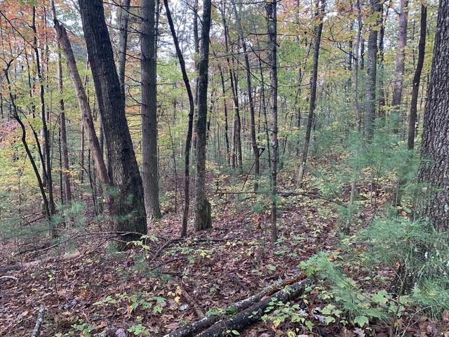 9 Dover Falls Trail, Ellijay, GA 30540