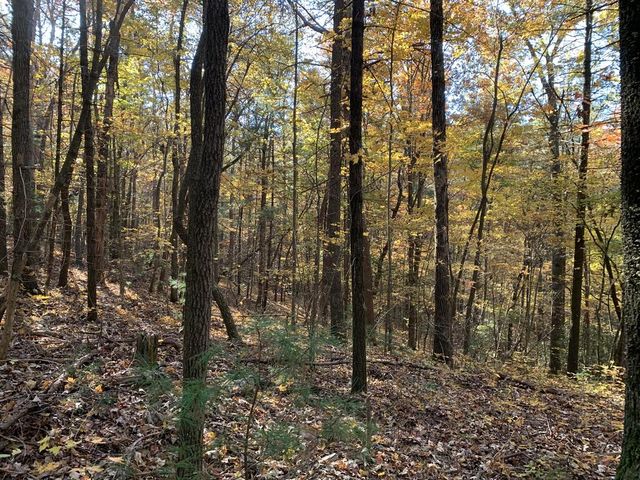 9 Dover Falls Trail, Ellijay, GA 30540