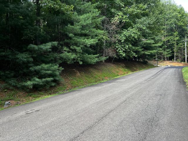 9 Dover Falls Trail, Ellijay, GA 30540