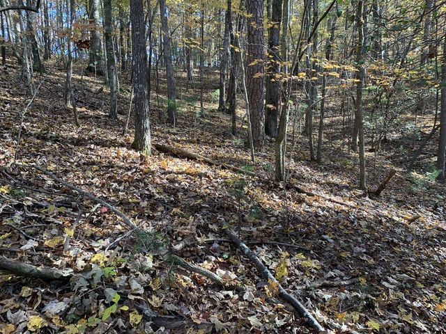 9 Dover Falls Trail, Ellijay, GA 30540