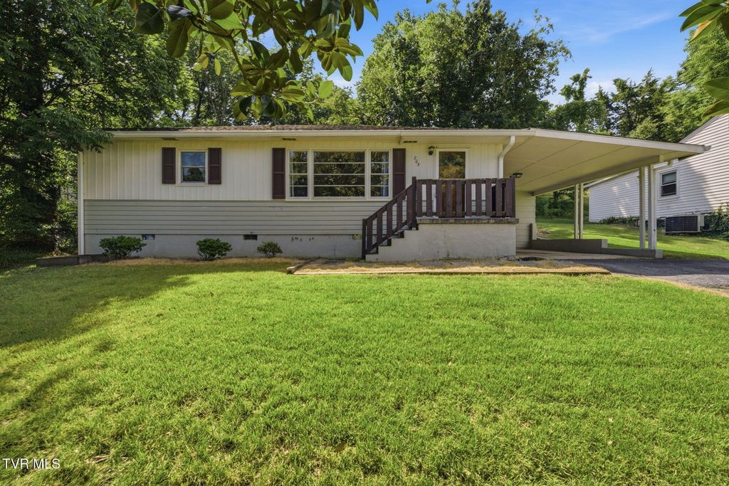 205 Pioneer Avenue, Johnson City, TN 37604
