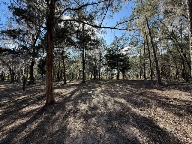 17830 NE 49TH STREET ROAD, Silver Springs, FL 34488