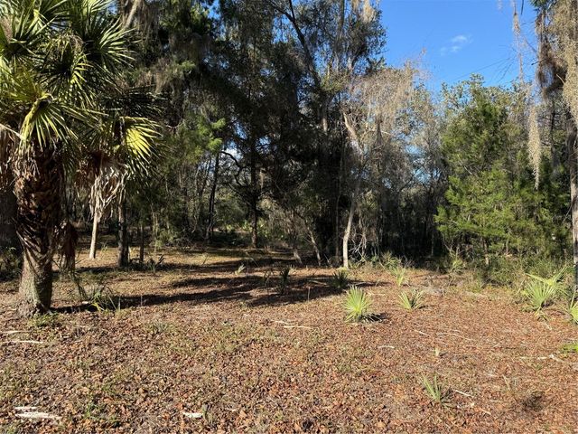 17830 NE 49TH STREET ROAD, Silver Springs, FL 34488