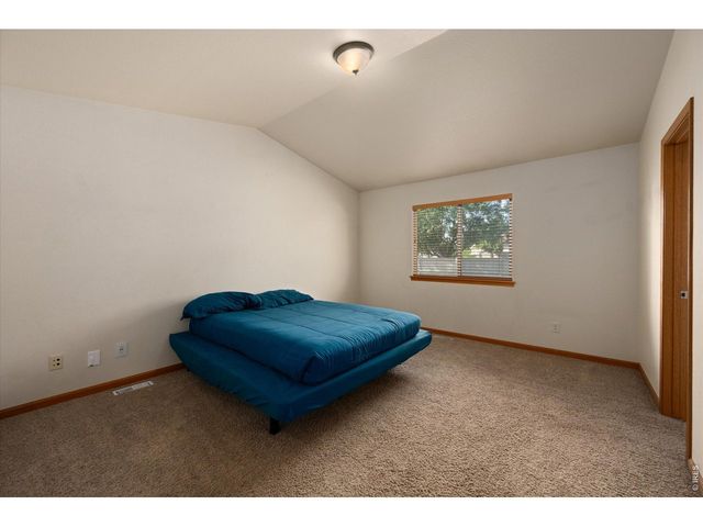 343 Scotch Pine Ct, Severance, CO 80550