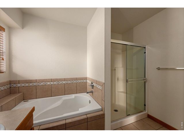 343 Scotch Pine Ct, Severance, CO 80550