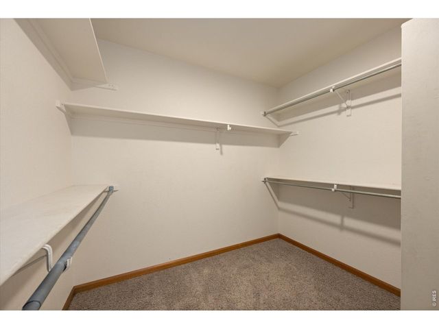 343 Scotch Pine Ct, Severance, CO 80550