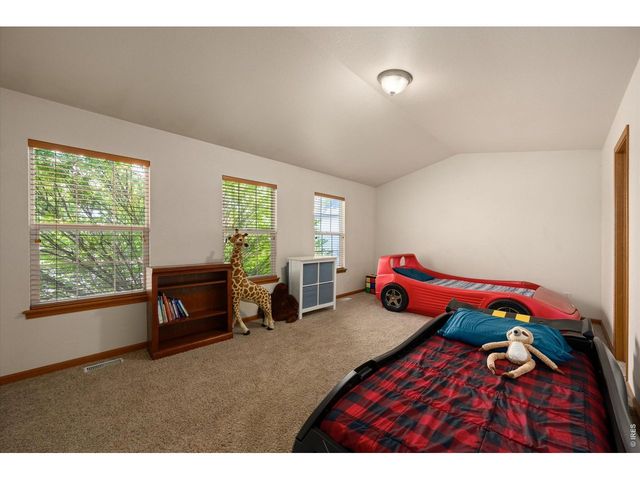 343 Scotch Pine Ct, Severance, CO 80550