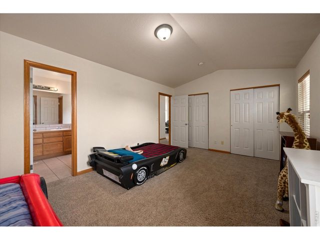 343 Scotch Pine Ct, Severance, CO 80550