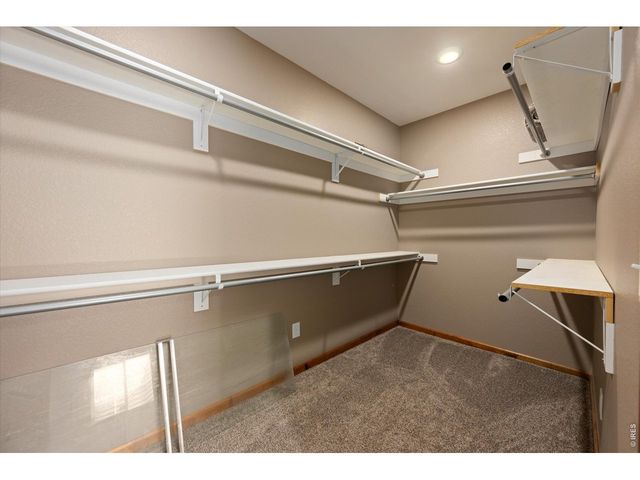 343 Scotch Pine Ct, Severance, CO 80550