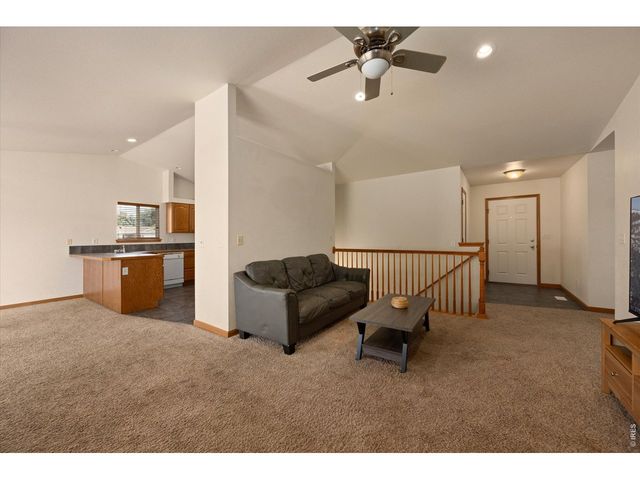 343 Scotch Pine Ct, Severance, CO 80550