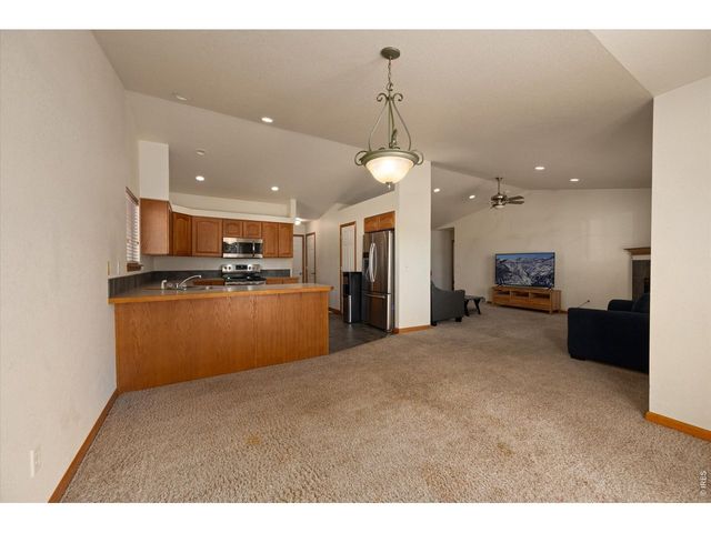 343 Scotch Pine Ct, Severance, CO 80550