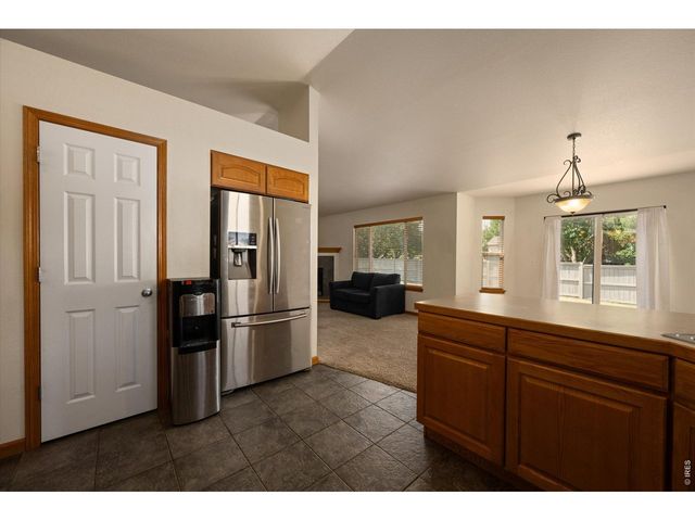 343 Scotch Pine Ct, Severance, CO 80550