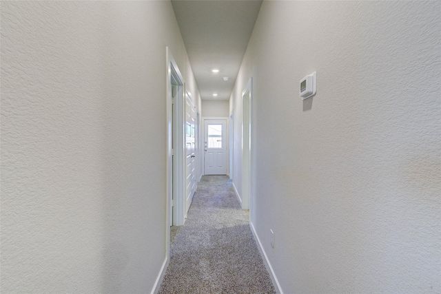 9848 Grosbeak, Magnolia, TX 77354