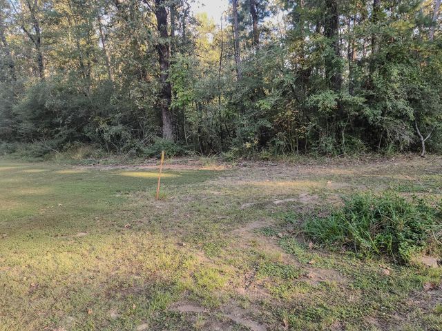 0 Hackberry Drive, Onalaska, TX 77360
