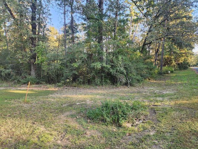 0 Hackberry Drive, Onalaska, TX 77360