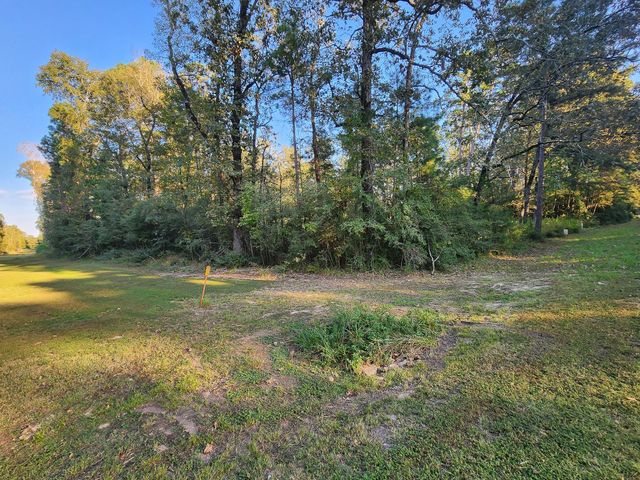 0 Hackberry Drive, Onalaska, TX 77360