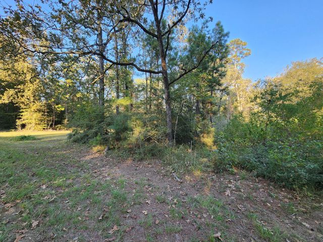 0 Hackberry Drive, Onalaska, TX 77360