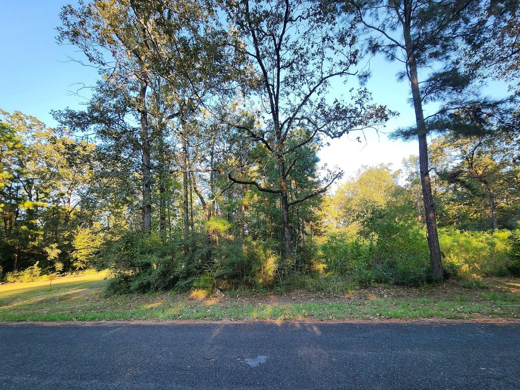 0 Hackberry Drive, Onalaska, TX 77360