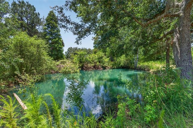 1205 CRYSTAL SPRINGS ROAD, Zephyrhills, FL 33540