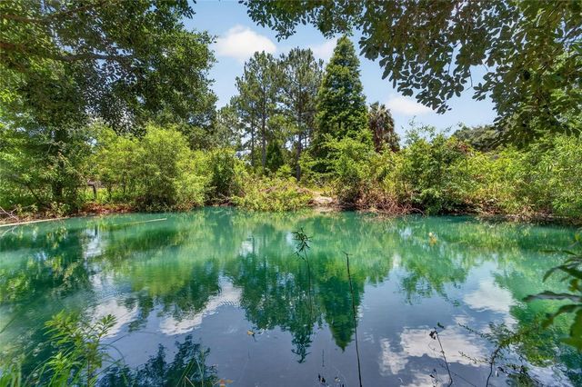 1205 CRYSTAL SPRINGS ROAD, Zephyrhills, FL 33540