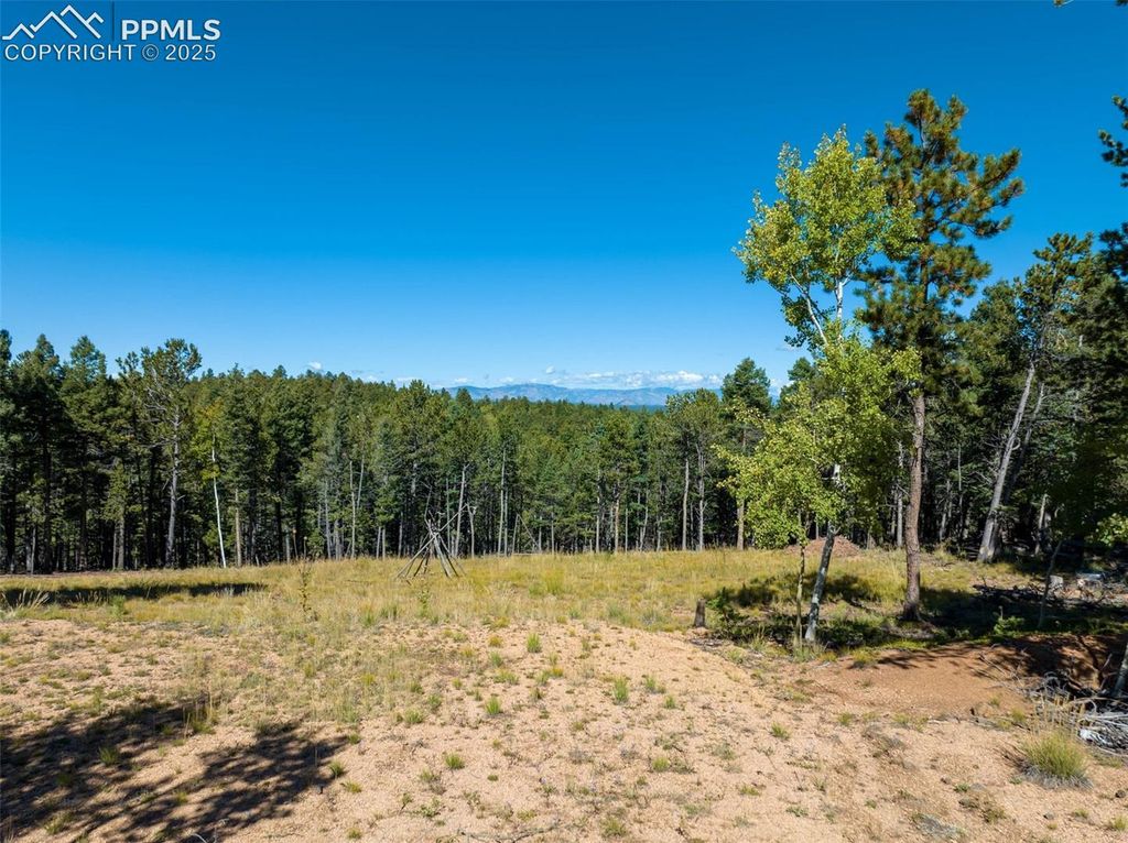 197 Parkview Drive, Woodland Park, CO 80863 — photo 2
