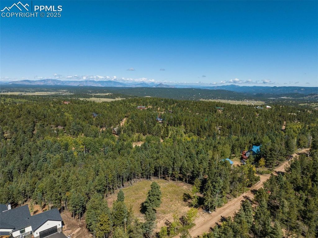 197 Parkview Drive, Woodland Park, CO 80863 — photo 3
