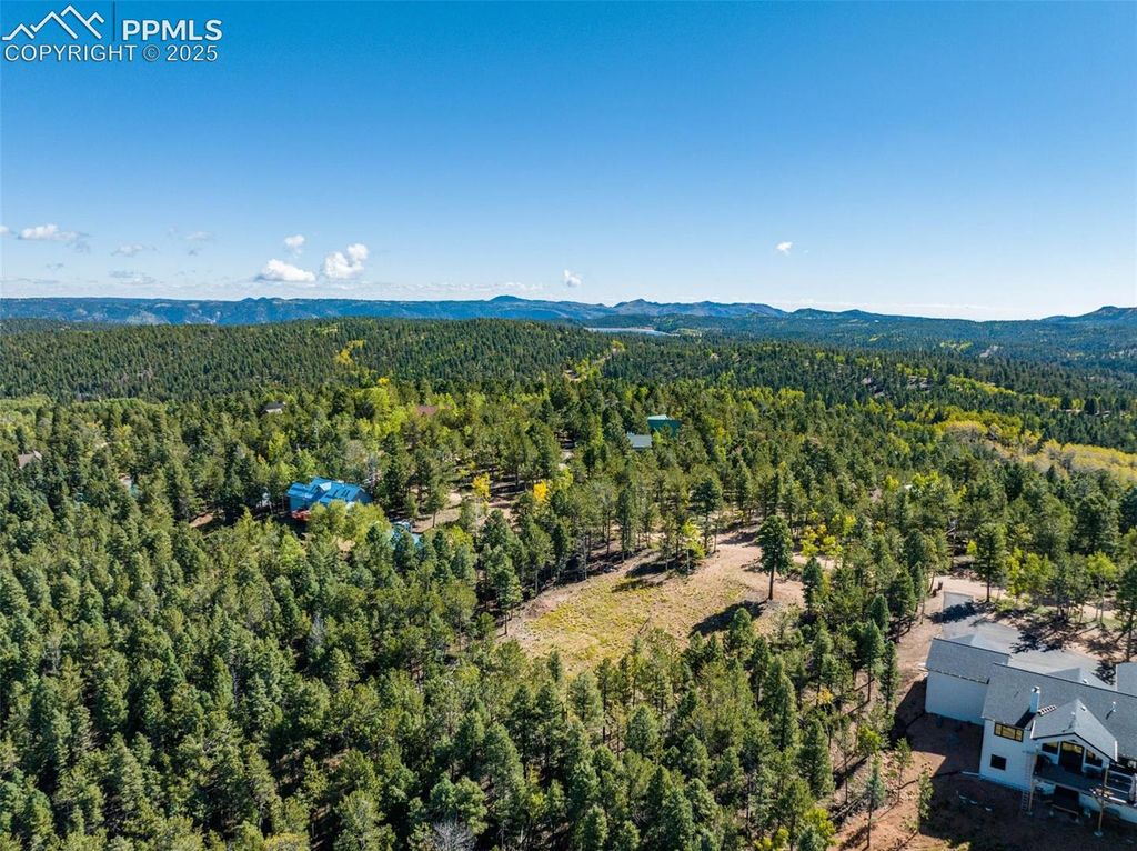 197 Parkview Drive, Woodland Park, CO 80863 — photo 4