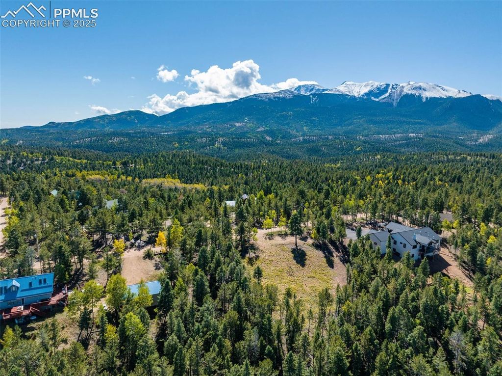 197 Parkview Drive, Woodland Park, CO 80863 — photo 5