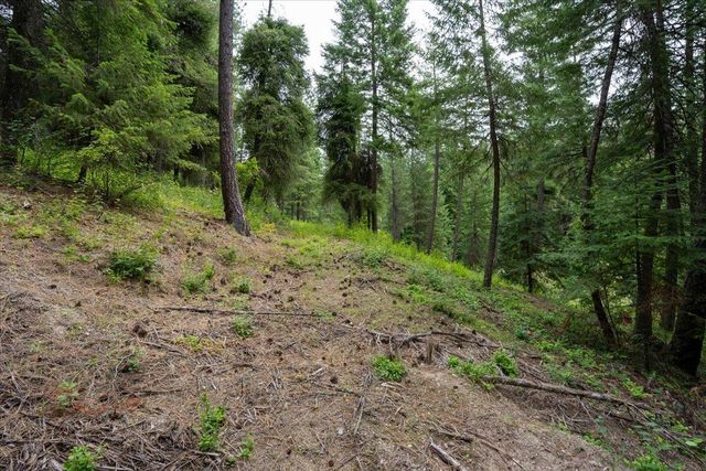 28420 N Thunderhill Ln, Chattaroy, WA 99003