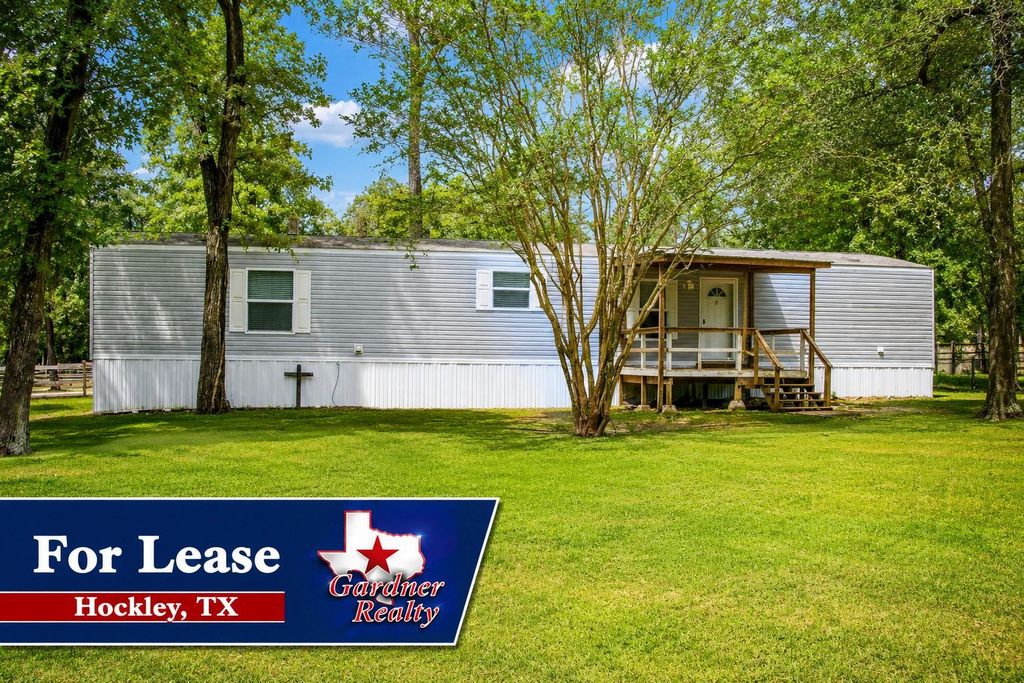 23602 Saxon Way, Hockley, TX 77447