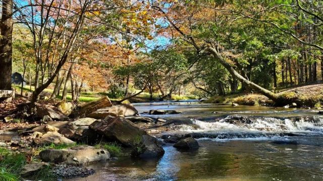 LOT 3 Gold Ridge Trail, Cherry Log, GA 30522