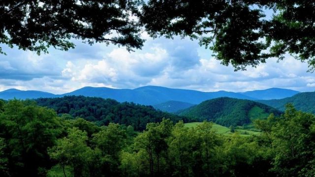 LOT 3 Gold Ridge Trail, Cherry Log, GA 30522