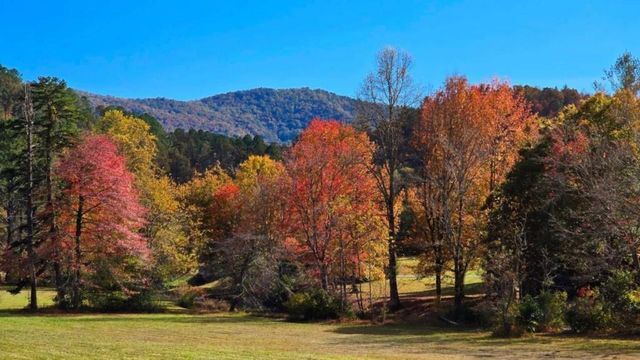 LOT 3 Gold Ridge Trail, Cherry Log, GA 30522