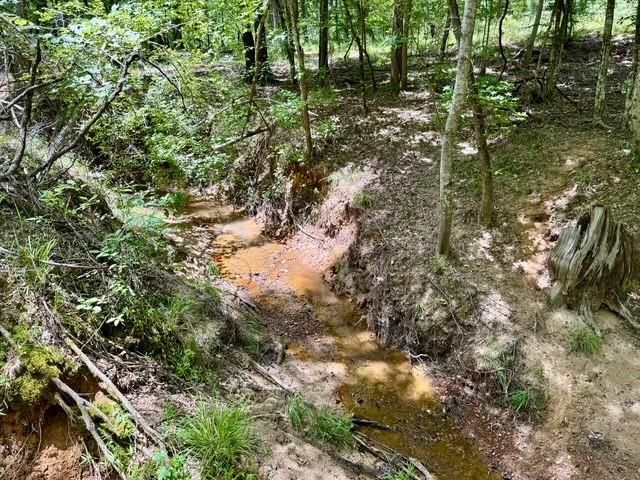 629 Acr 1215, Grapeland, TX 75844