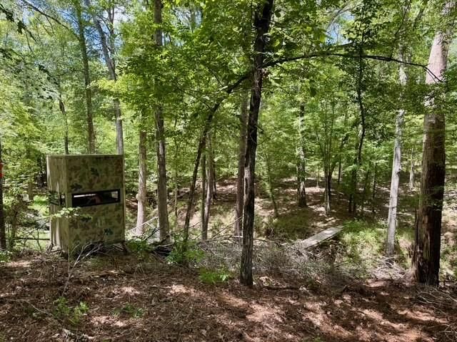 629 Acr 1215, Grapeland, TX 75844