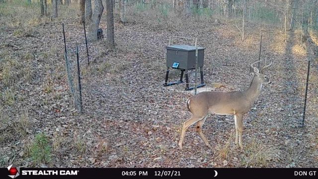 629 Acr 1215, Grapeland, TX 75844