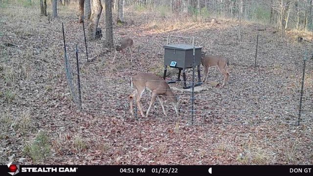 629 Acr 1215, Grapeland, TX 75844