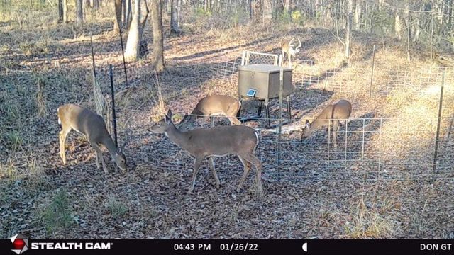 629 Acr 1215, Grapeland, TX 75844