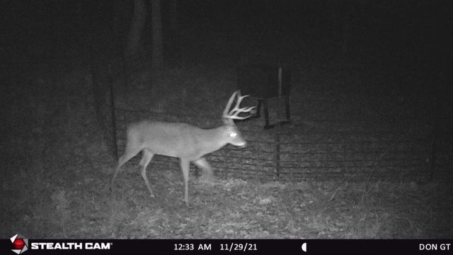 629 Acr 1215, Grapeland, TX 75844