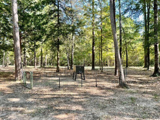 629 Acr 1215, Grapeland, TX 75844