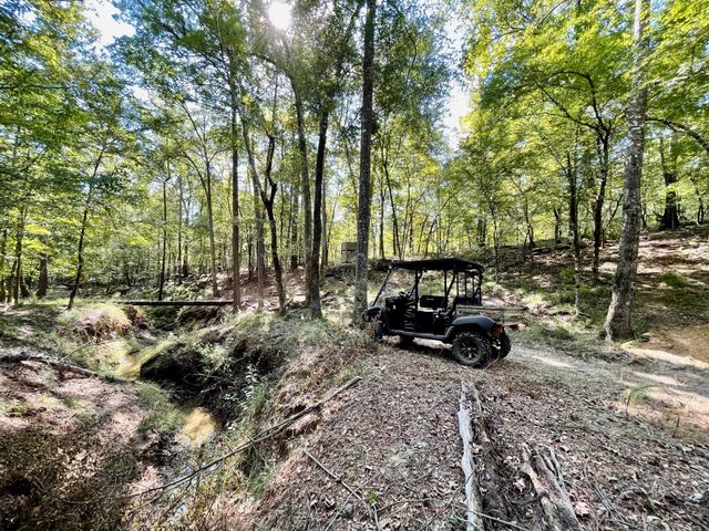 629 Acr 1215, Grapeland, TX 75844