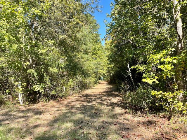 629 Acr 1215, Grapeland, TX 75844