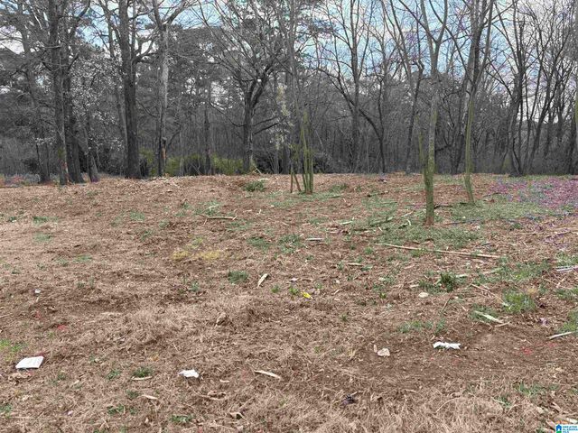 9149 ZION CITY ROAD, Birmingham, AL 35206