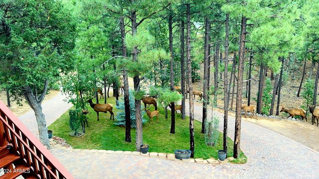 2020 S PLEASANT VIEW Drive, Show Low, AZ 85901