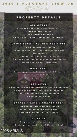 2020 S PLEASANT VIEW Drive, Show Low, AZ 85901