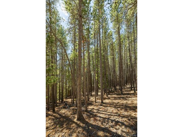 0 Spruce Way, Nederland, CO 80466