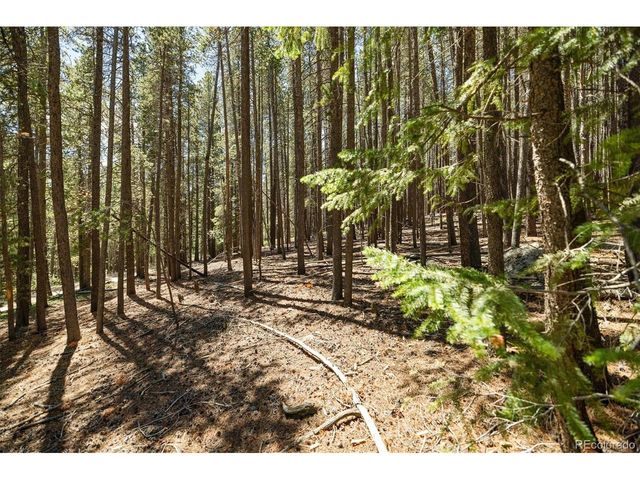 0 Spruce Way, Nederland, CO 80466
