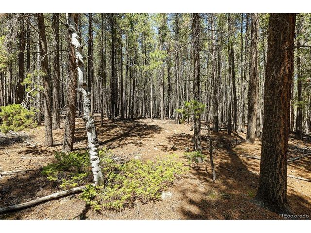 0 Spruce Way, Nederland, CO 80466