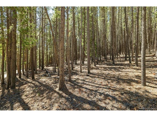 0 Spruce Way, Nederland, CO 80466
