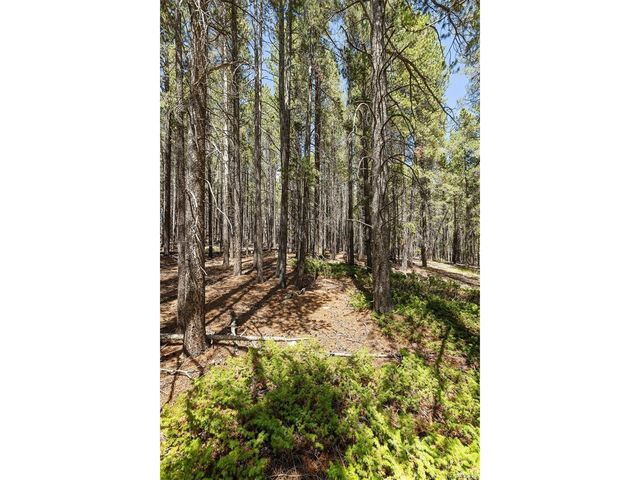 0 Spruce Way, Nederland, CO 80466
